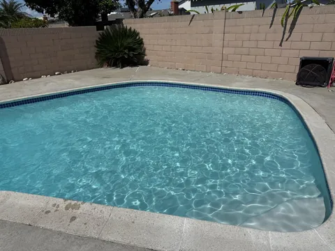 Refilled pool with clear turquoise water and blue waterline tile beside a block wall and sago palm